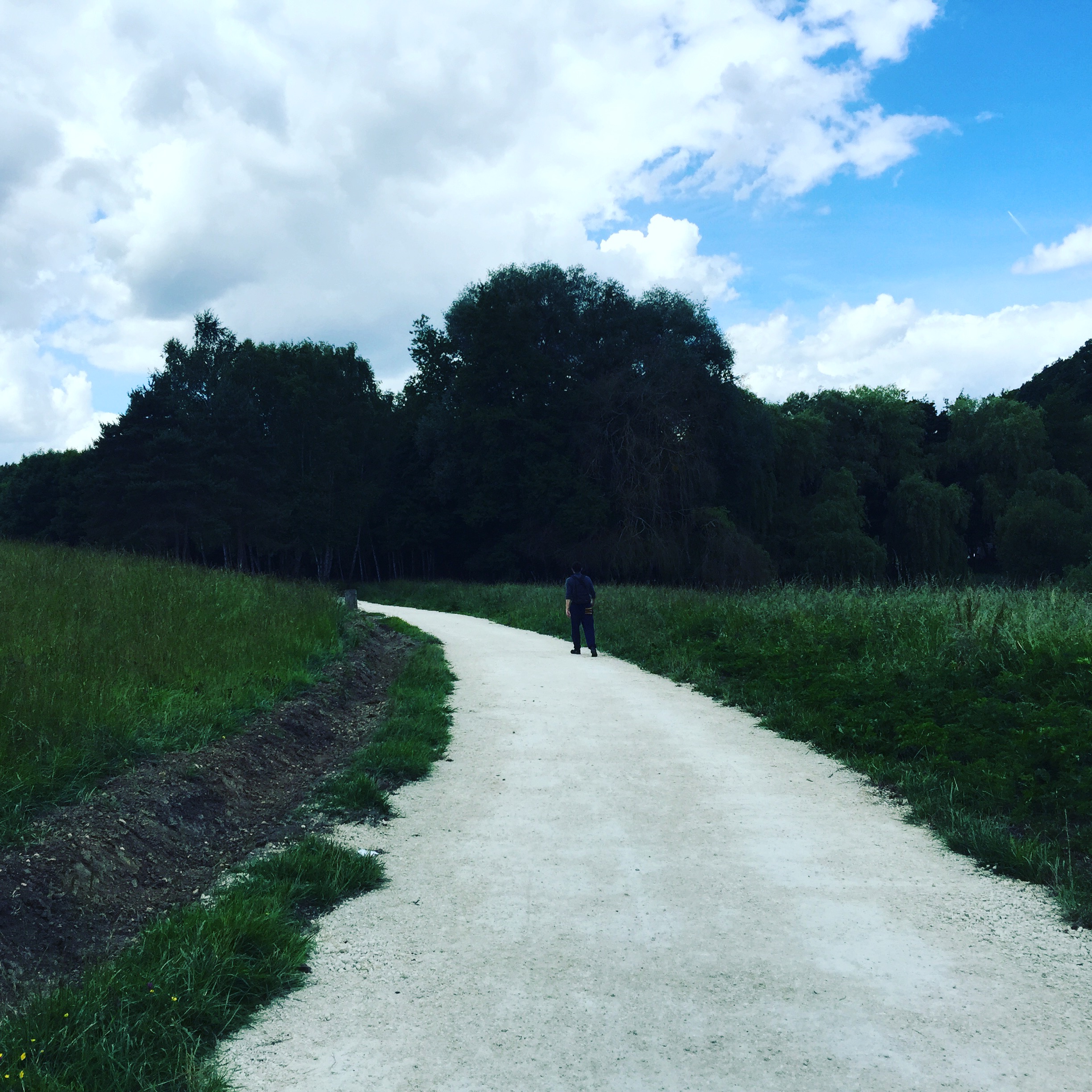 Comment gérer une pensée negative et continuer su un bon chemin